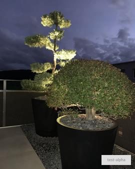 Photo 20 · Attic Penthouse with Lake View — Zürich Seefeld · Busswil